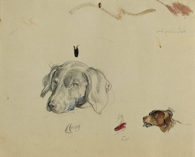 Studio di cane da Johann Peter Krafft