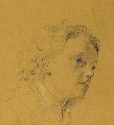 Testa di un ragazzo da Johann Peter Krafft