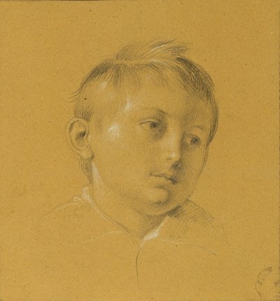 Testa di un ragazzo da Johann Peter Krafft