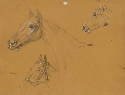 Studio di cavallo per "L