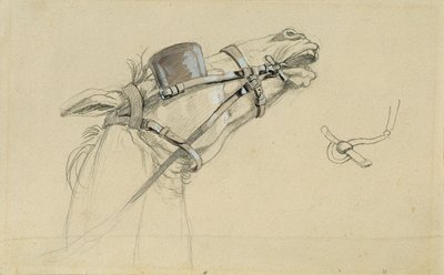 Studio di una testa di cavallo per "Ritorno dell