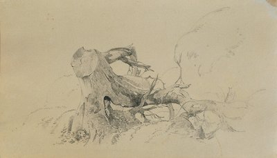 Radici, albero caduto da Johann Peter Krafft