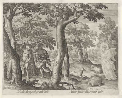 La caduta dell
