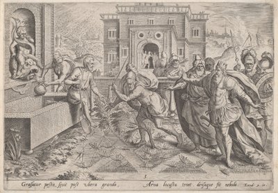 La piaga delle locuste da Johann Sadeler I