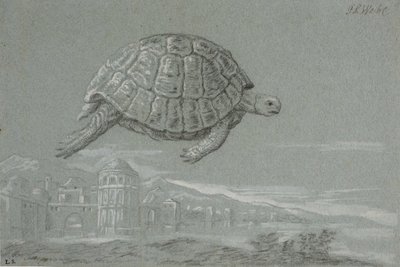 Studio di una tartaruga e prospetto di una città fortificata sul mare (Venezia) da Johann Salomon Wahl