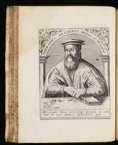 Conrad Gessner da Johann Theodor de Bry