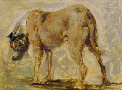Cane marrone da Johann  Till der Jüngere