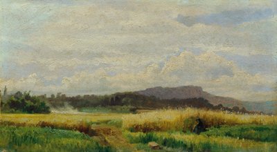 Campo di grano con donna anziana da Johann  Till der Jüngere