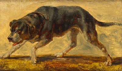 Studio di cane da Johann  Till der Jüngere