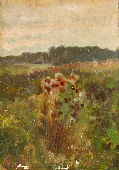 Paesaggio in Bassa Austria da Johann  Till der Jüngere