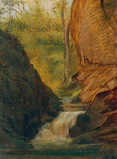 Ruscello nel bosco da Johann  Till der Jüngere