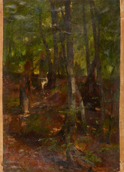 Paesaggio boschivo da Johann  Till der Jüngere