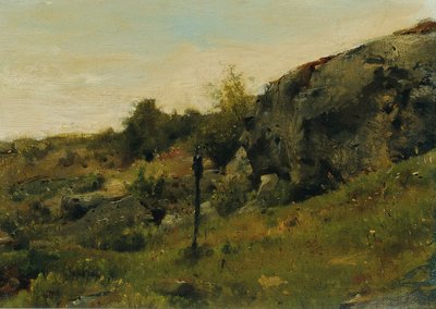 Paesaggio di prato con rocce da Johann  Till der Jüngere
