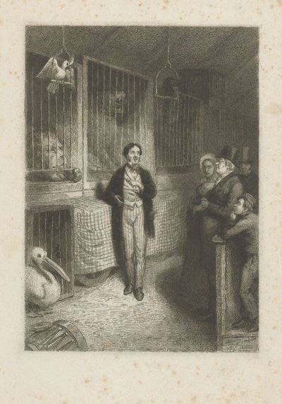 Animali che guardano da Johann Wilhelm Kaiser (I)