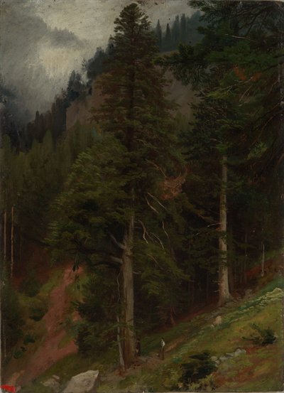 Pendio nella foresta di abeti da Johann Wilhelm Schirmer