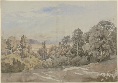 Bosco con vista lontana da Johann Wilhelm Schirmer