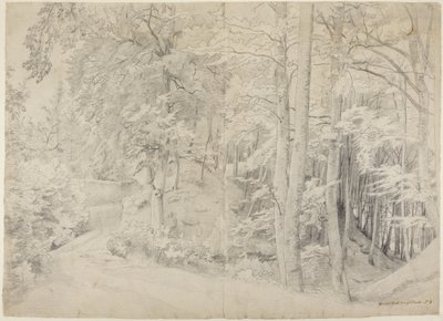 Nella faggeta da Johann Wilhelm Schirmer