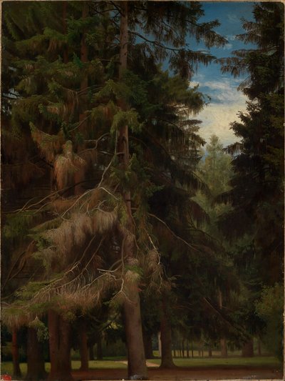  da Johann Wilhelm Schirmer