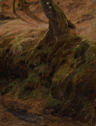  da Johann Wilhelm Schirmer