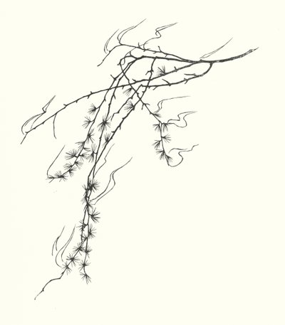 Silhouette di Johanna Beckmann da Johanna Beckmann
