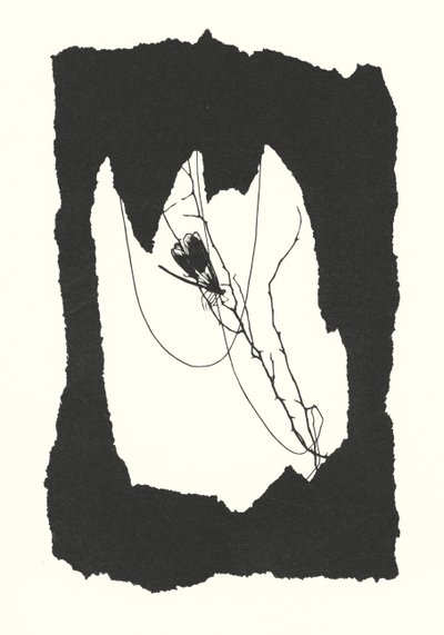 Silhouette di Johanna Beckmann da Johanna Beckmann