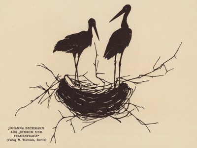 Silhouette di un nido di cicogne da Johanna Beckmann