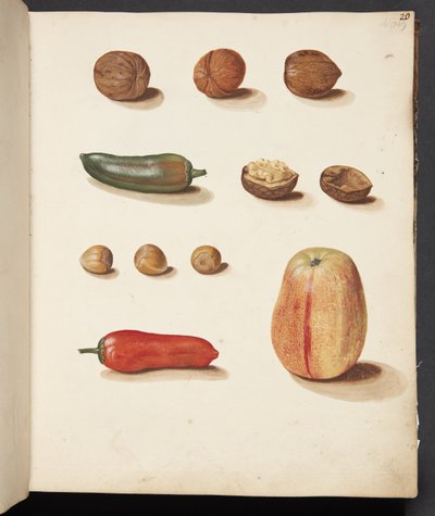 Studio di mela, noci e peperoni da Johanna Fosie