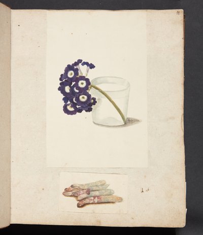 Studio di un fiore in un bicchiere d