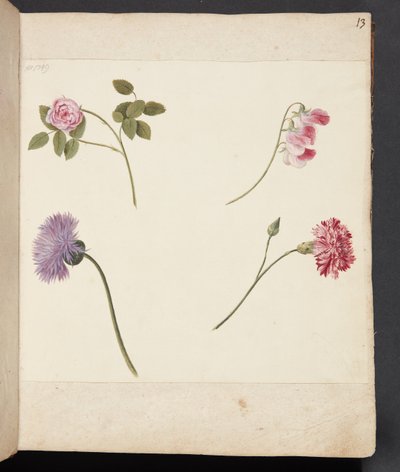 Studio di fiori da Johanna Fosie
