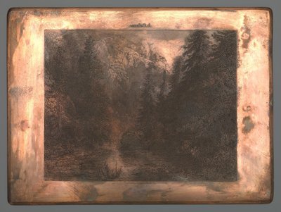 Fiume di montagna tra gli alberi da Johannes Arnoldus Boland