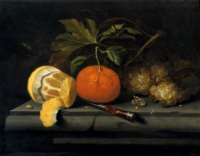 Frutta su una tavola di pietra, c1653-1659 da Johannes Borman