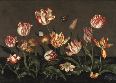 Natura morta con tulipani da Johannes Bosschaert