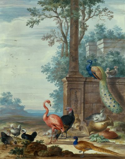 Paesaggio italianeggiante con pavone, fagiano, fenicottero e altri uccelli da Johannes Bronckhorst