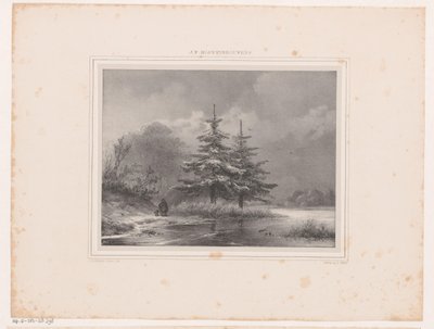Paesaggio invernale con due pini da Johannes Christiaan d