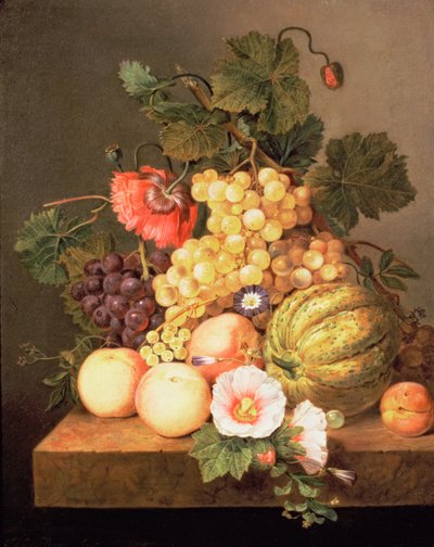 Natura morta con frutta da Johannes Cornelis Bruyn