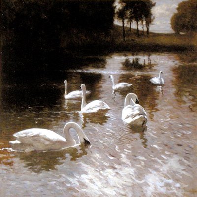 Cigni su un lago, c.1890 da Johannes Cornelis van Essen