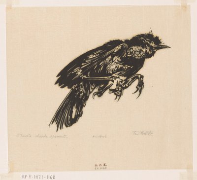 Spreeuw morto da Johannes Frederik Engelbert ten Klooster (signed by artist)