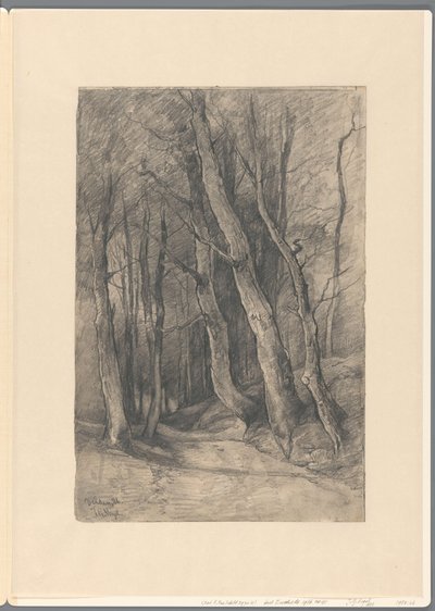 Paesaggio Boscoso presso Delden da Johannes Gijsbert Vogel