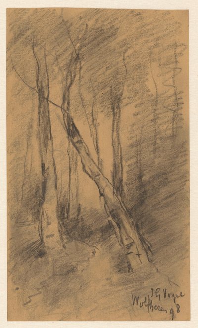 Paesaggio boschivo vicino a Wolfheze da Johannes Gijsbert Vogel