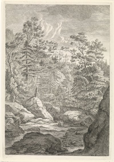 Ravina con alberi e un ruscello (serie: Paesaggi nel massiccio della Certosa) da Johannes Glauber