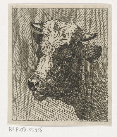Testa di mucca a sinistra da Johannes Hari (II)