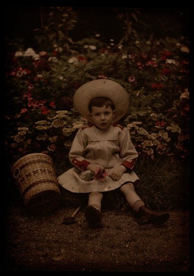 Bambino davanti ai fiori da Johannes Hendrikus Antonius Maria Lutz
