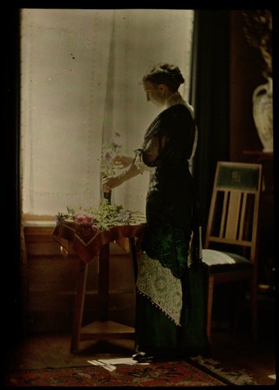 Donna alla finestra da Johannes Hendrikus Antonius Maria Lutz
