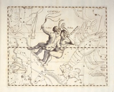 Costellazione dei Gemelli, incisione dall