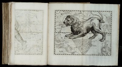 Leone (costellazione), da "Prodromus astronomiae" da Johannes Hevelius