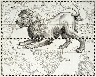 Leone, costellazione zodiacale del Leone, illustrazione tratta dall
