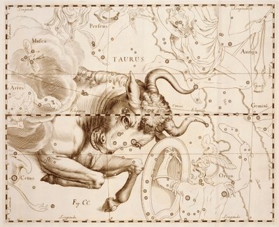 Toro (segno zodiacale), incisione dal Firmamentum Sobiescianum sive Uranographia, catalogo stellare completo, di Johann Hevelius, stampato a Danzica da Johannes Hevelius