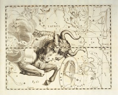 Toro, costellazione del Toro, incisione da atlante celeste Firmamentum Sobiescianum sive Uronographia, di Johann Hevelius (1611-1687), Danzica da Johannes Hevelius