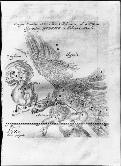 La cometa scoperta e osservata da Johannes Hevelius dal 3 febbraio al 28 marzo 1661 a Danzica da Johannes Hevelius