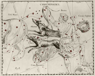 La costellazione Canes Venatici, Cani da caccia. Tavola tratta da Firmamentum Sobiescanum sive Uranographia di Johannes Hevelius da Johannes Hevelius